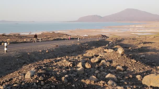 Bellissimo Paesaggio Lago Salato Danakil Etiopia — Video Stock