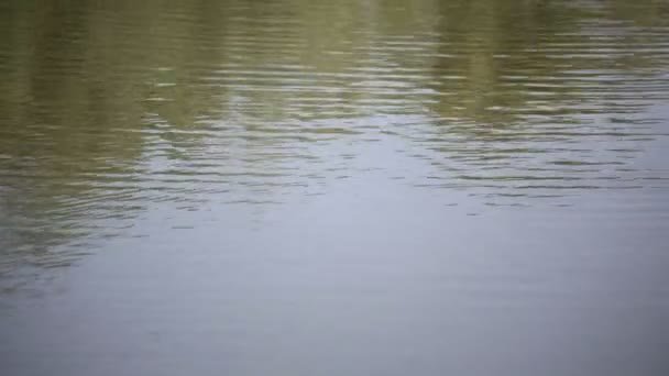 images tranquilles de la surface ondulée de l'eau de la rivière ou du lac 