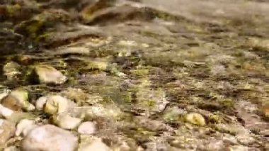 taşlar ve yüzen su yakın