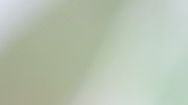 çiçek ve yeşil çim soyut bulanık doku