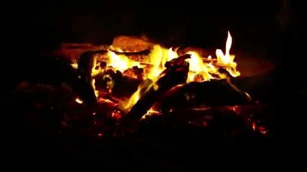 Lagerfeuer Mit Orangefarbener Flamme Dunkler Nacht — Stockvideo