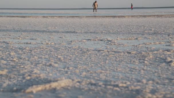 Ανθρώπους Που Περπατούν Στην Ακτή Αλυκή — Αρχείο Βίντεο