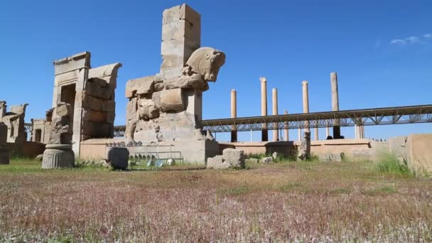Persépolis Ruinas Antiguas Monumentos Destino Histórico Irán — Vídeos de Stock