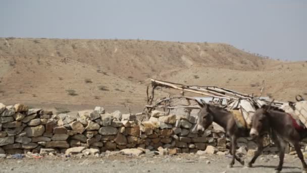 在农村公路上携带盐的驴大篷车在村庄 — 图库视频影像