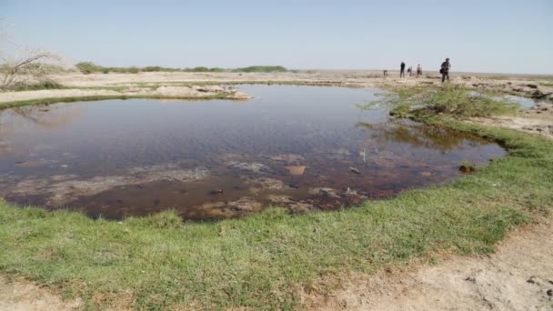 Ηφαιστειακή Danakil Κατάθλιψη Και Ποταμού Στην Αιθιοπία — Αρχείο Βίντεο