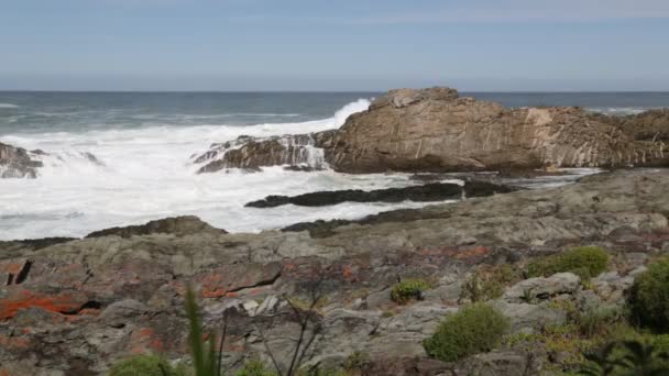 Imagens Cênicas Reserva Tsitsikamma África Sul — Vídeo de Stock