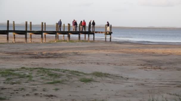 Güney Afrika Doğa Rezerv Ahşap Iskele Üzerinde Duran Insanlar — Stok video