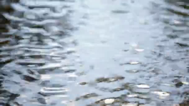 Spokojny Materiał Falisty Powierzchni Wody Rzeki Lub Jeziora — Wideo stockowe