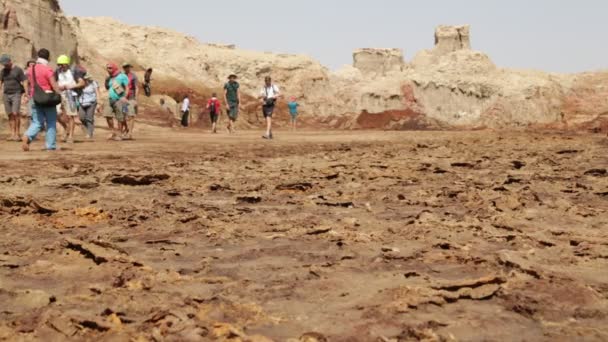 Vue Panoramique Personnes Non Identifiées Marchant Dans Danakil — Video