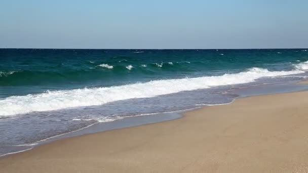 Hermoso Océano Playa Australia — Vídeos de Stock