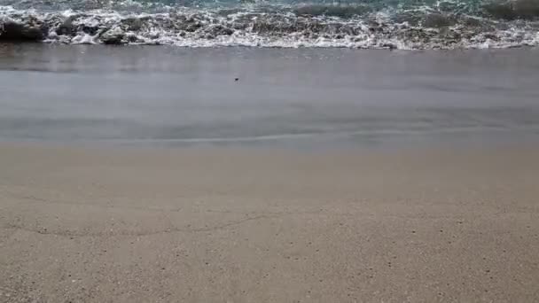 可以看到海浪和沙滩 — 图库视频影像