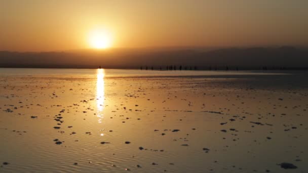 夕暮れ時の塩の湖の美しい風景 — ストック動画