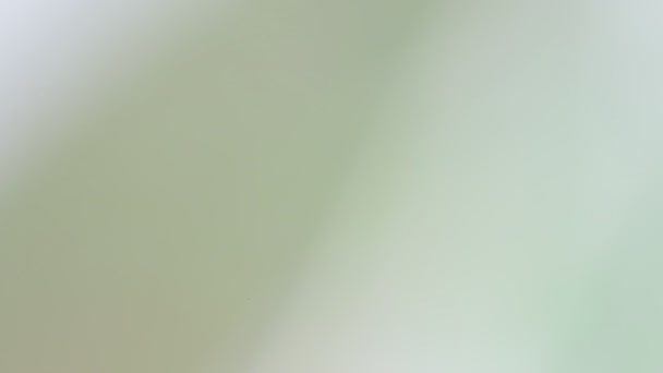 texture floue abstraite de fleur et d'herbe verte 