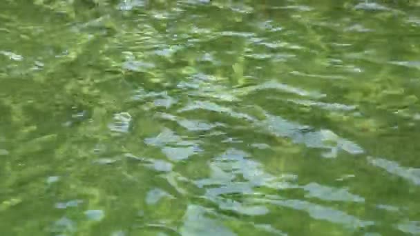 Hög Vinkel Mot Grönt Flytande Vatten — Stockvideo