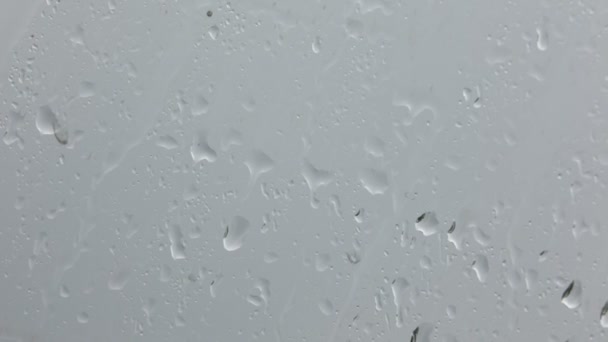 背景模糊的窗玻璃上水滴的特写镜头 — 图库视频影像