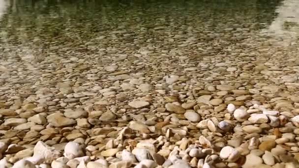 Nahaufnahme Von Steinen Und Schwimmendem Wasser — Stockvideo