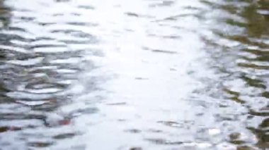 nehir veya gölün dalgalı su yüzeyinin sakin görüntüleri