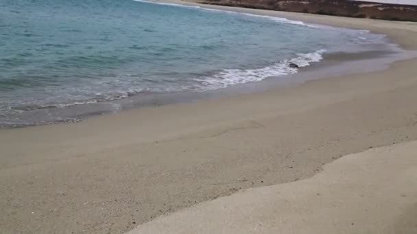 Beautiful Ocean Beach Australia — Stock Video