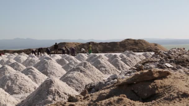 Vacker Utsikt Över Oidentifierade Personer Som Arbetar Salt Industri — Stockvideo