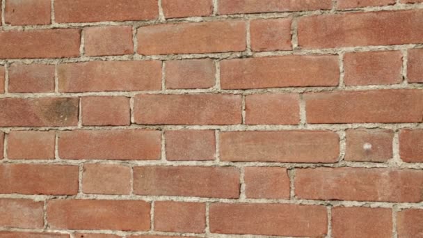 Zbliżenie Stary Brązowy Ściana Cegły — Wideo stockowe