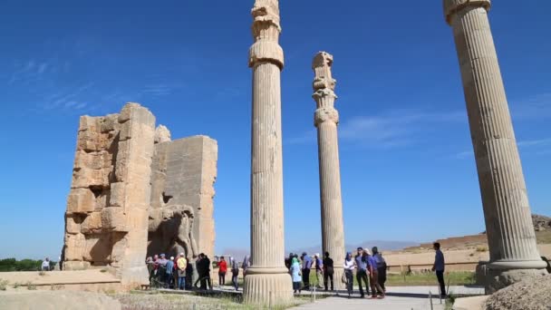 Touristes Persépolis Vieilles Ruines Monuments Historiques Destination Iran — Video