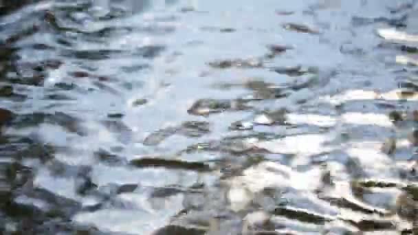 Spokojny Materiał Falisty Powierzchni Wody Rzeki Lub Jeziora — Wideo stockowe