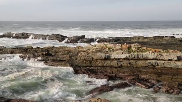 Szenische Aufnahmen Des Tsitsikamma Reservats Südafrika — Stockvideo