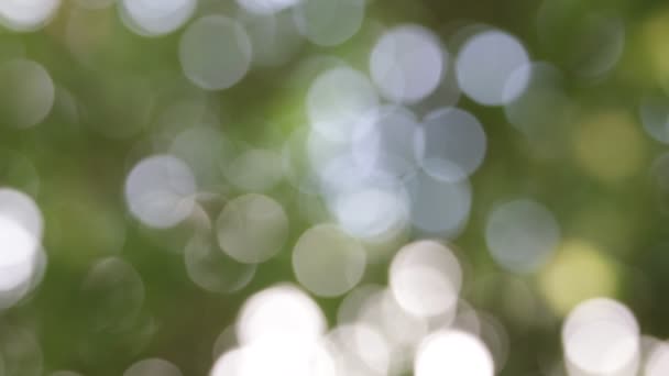 des images floues d'un fond abstrait de couleurs floues  