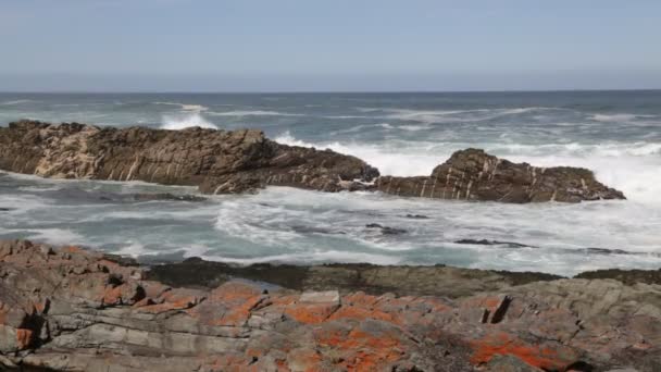 Séquences Panoramiques Réserve Tsitsikamma Afrique Sud — Video