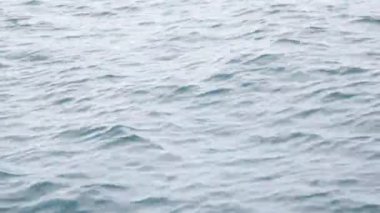 denizde yüzen su yakın