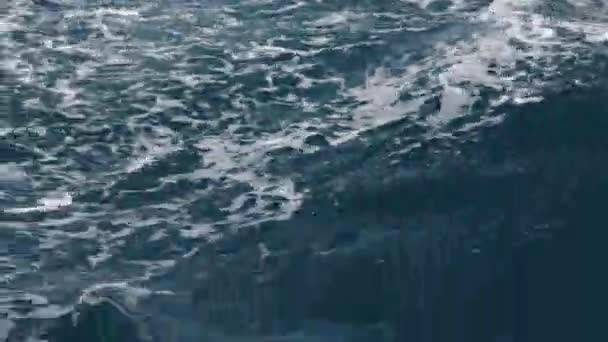 Denizde Dalgalar Yüksek Açı Görünümü — Stok video