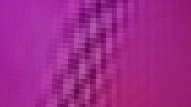 Размытые Кадры Фиолетовым Экраном Компьютера Фона — стоковое видео