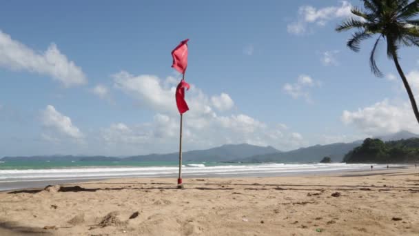 Dos Banderas Rojas Playa Cerca Del Mar — Vídeos de Stock
