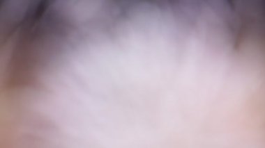 koyu arka plan üzerinde renkli havai fişek bulanık