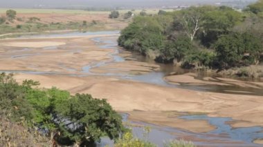 güney Afrika'da yaban hayatı doğa rezerv doğal görüntüleri 