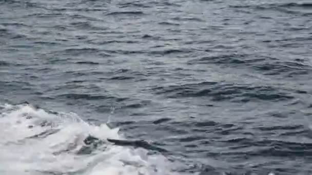 vue à grand angle des vagues en mer 