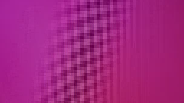 Размытые Кадры Фиолетовым Экраном Компьютера Фона — стоковое видео