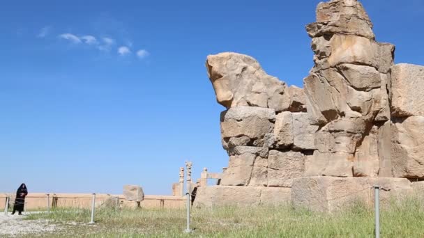 Toeristen Persepolis Oude Ruïnes Historische Bestemming Monumenten Iran — Stockvideo