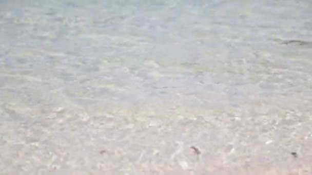 Piękne Fale Oceanu Spokojnego — Wideo stockowe