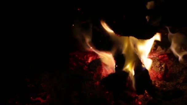 Lagerfeuer Mit Orangefarbener Flamme Dunkler Nacht — Stockvideo