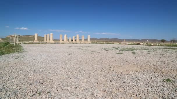 Images Vieux Temple Pasargad Iran — Video