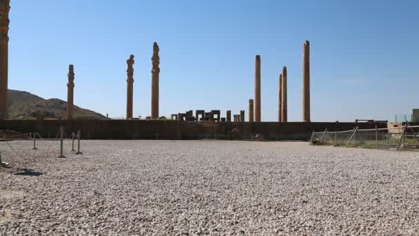 Touristen Persepolis Alte Ruinen Historische Sehenswürdigkeiten Iran — Stockvideo