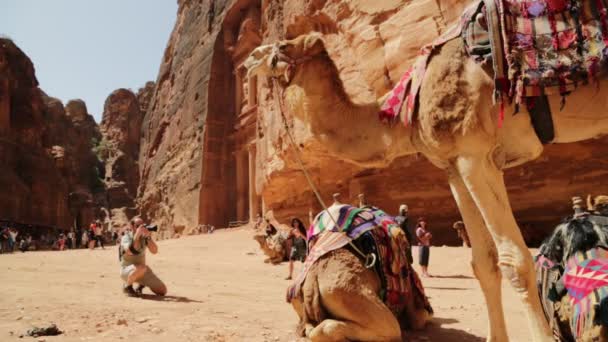 Imágenes Turistas Sitio Antiguo Petra Monasterio Jordania — Vídeo de stock