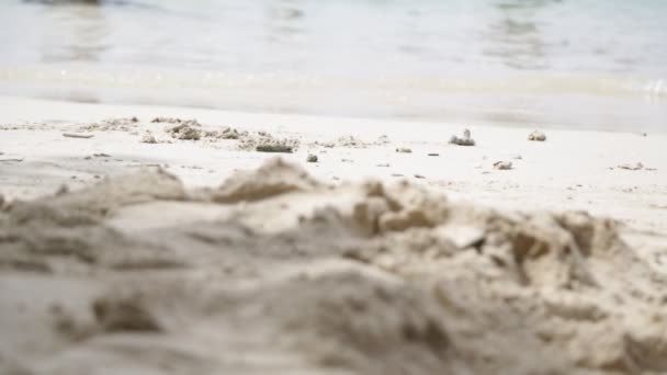 Πόδια Των Ανθρώπων Που Περπατούν Στην Παραλία Κοντά Στον Ωκεανό — Αρχείο Βίντεο