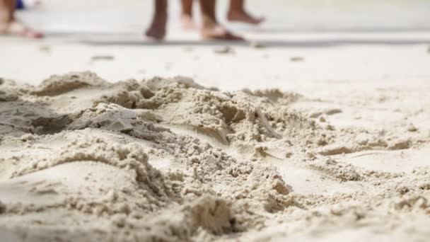 Pieds Personnes Marchant Sur Plage Près Océan — Video