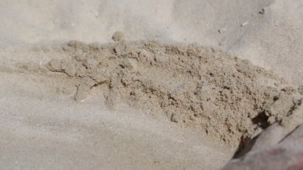 Cropped Shot Man Touching Sand Beach — Stock Video