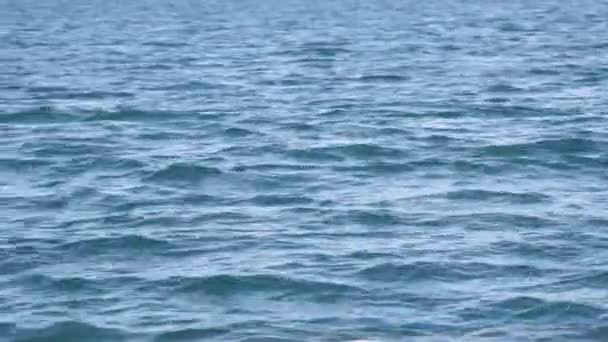 Pandangan Sudut Tinggi Dari Gelombang Laut — Stok Video