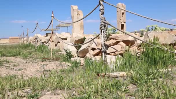 Footage Pasargad Old Temple Iran — Stock Video