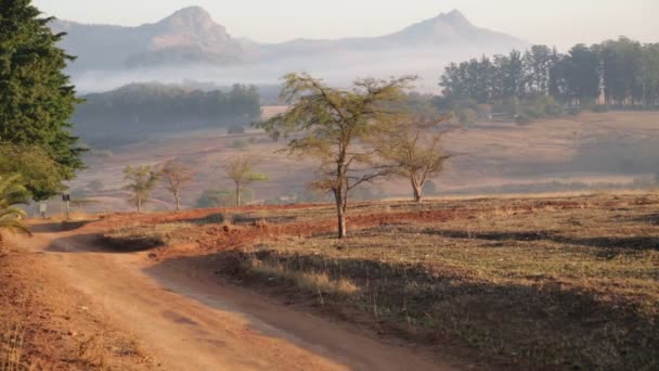 Живописные Кадры Заповедника Свазиленд — стоковое видео
