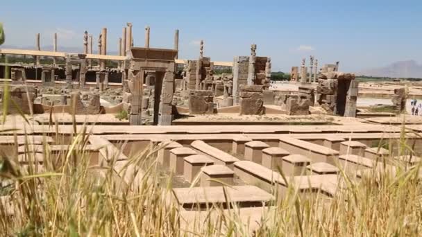 Persepolis Alte Ruinen Historische Sehenswürdigkeiten Iran — Stockvideo